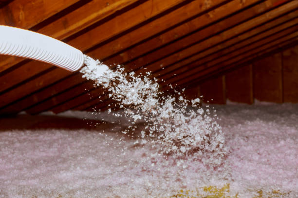 Best Insulation for Specific Applications in Hybla Lley, VA