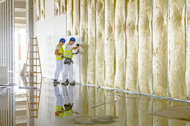 Best Insulation Installation Services in Hybla Lley, VA